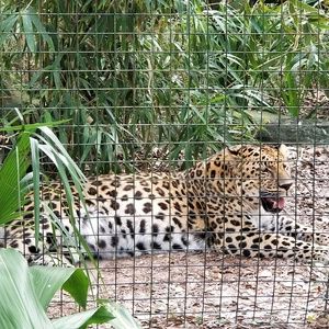 Meet your Posher, Terry